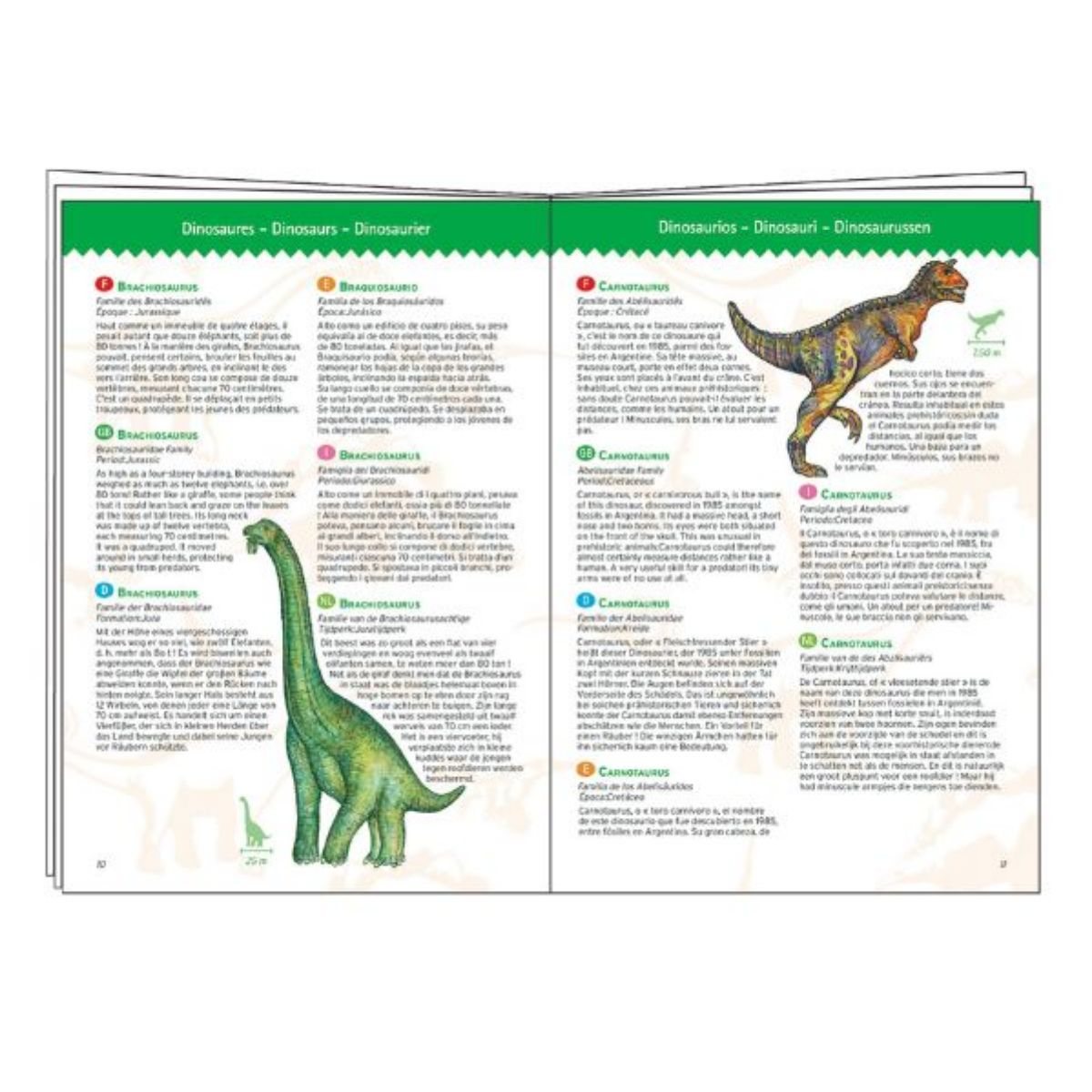 Dinosaur 100Pc Jigsaw (Jigsaw)