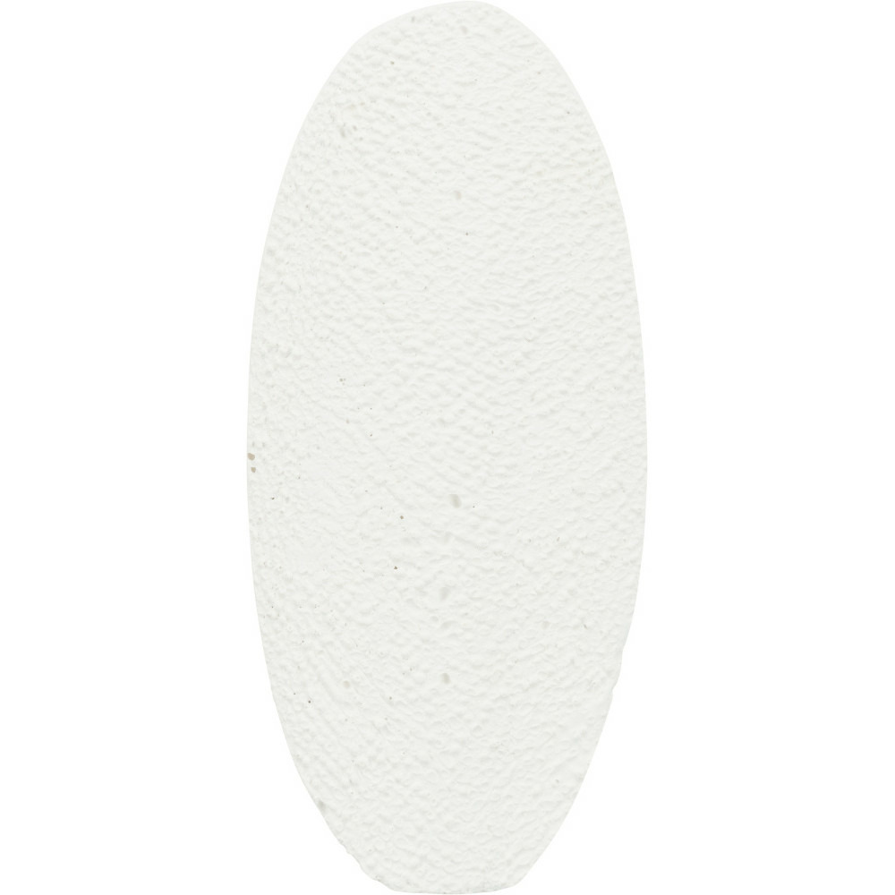 Seiche pierre de calcium avec support, 40 g