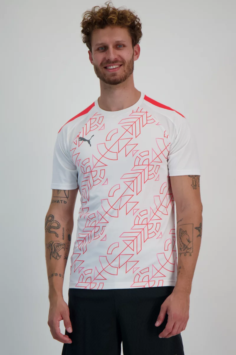 Puma teamLIGA Graphic Herren T-Shirt