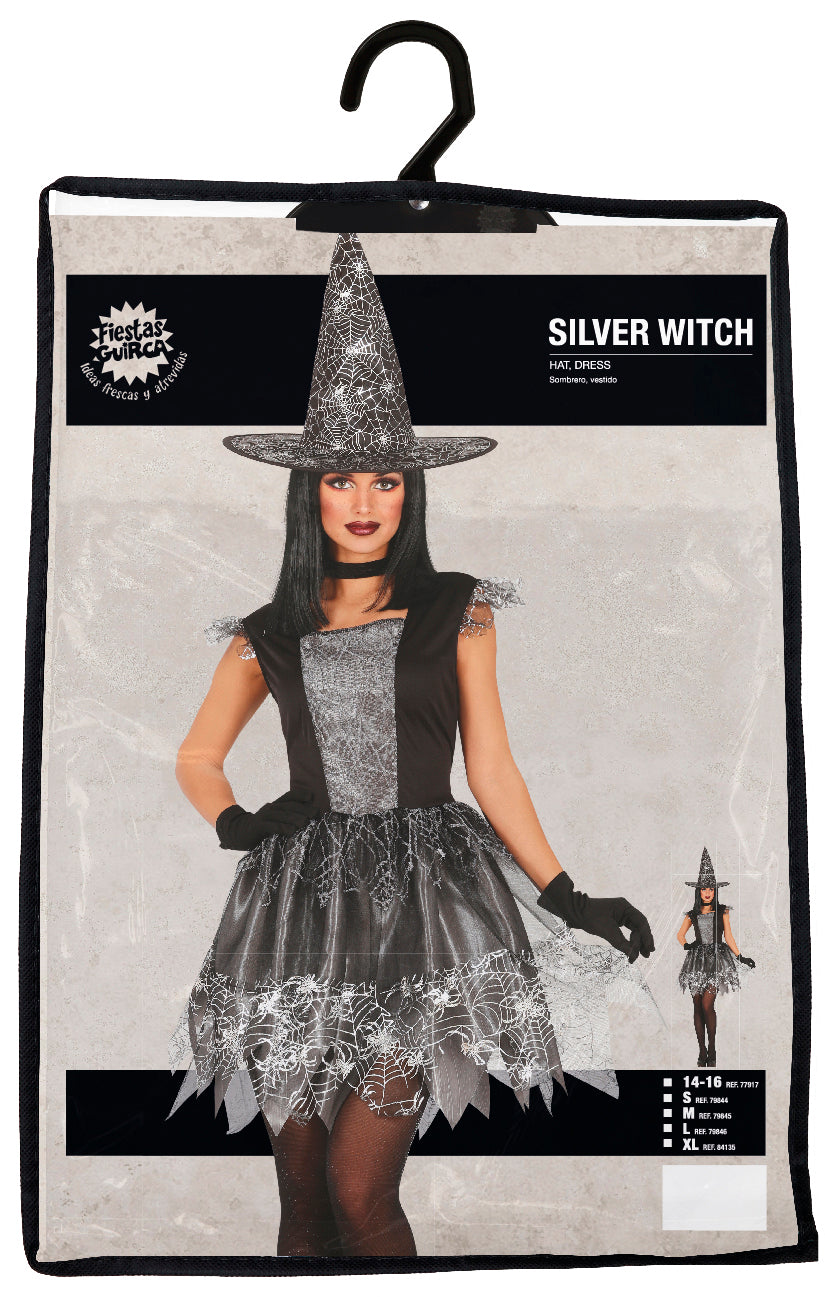 Heks Halloween Kostuum Dames Zilver