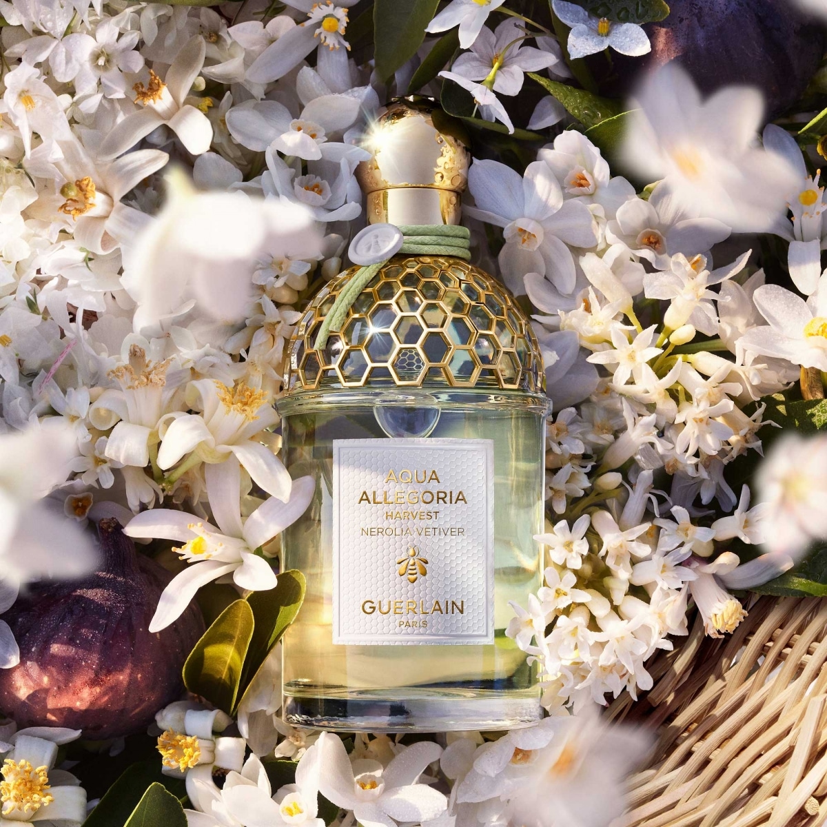 GUERLAIN Aqua Allegoria Harvest Nerolia Vetiver Eau de Toilette