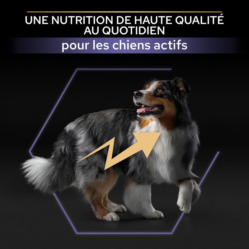 PURINA PRO PLAN All Size Adult Performance