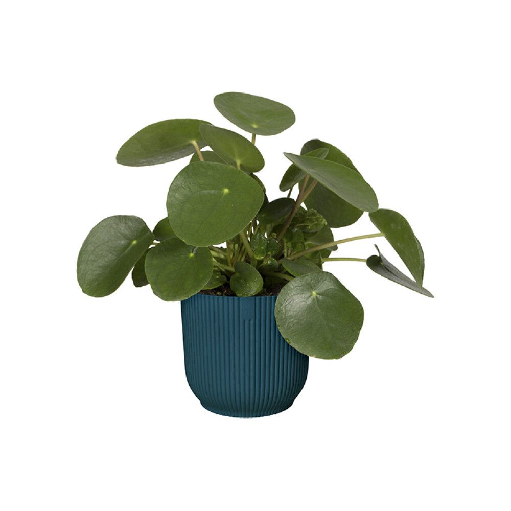 POTTE ELHO VIBES 18CM BLÅ