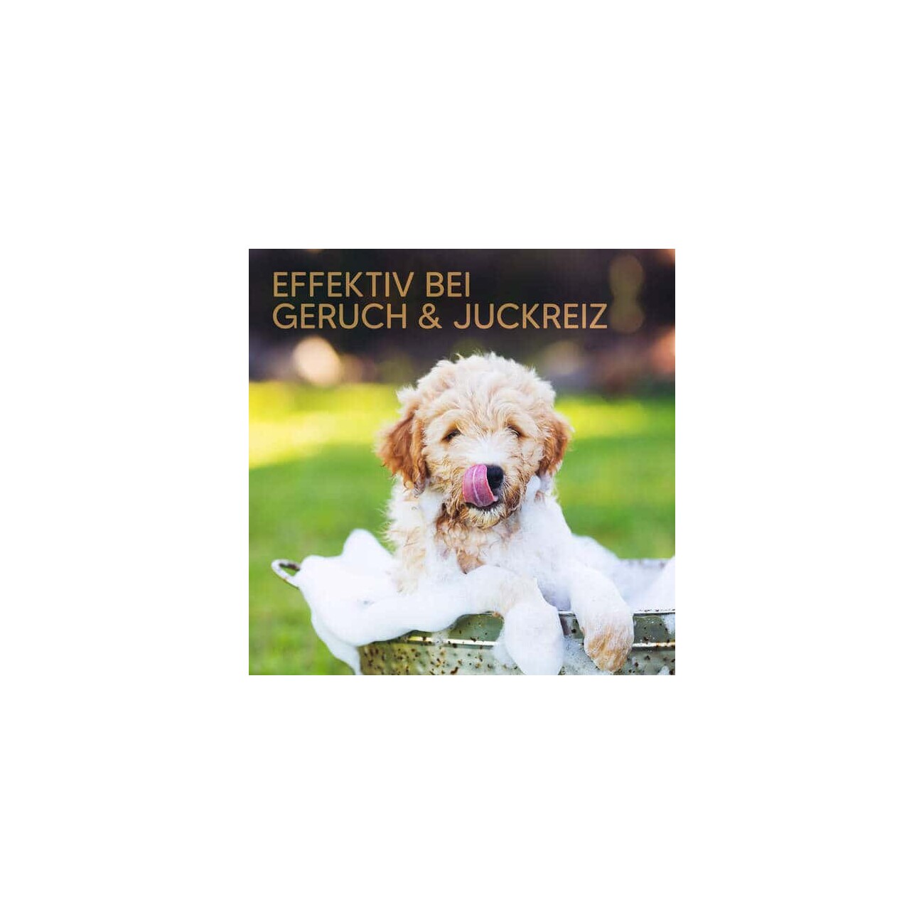 Pawlie's Welpenshampoo