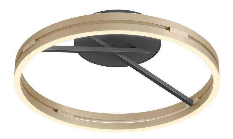Paul Neuhaus Deckenleuchte PURE LOOP