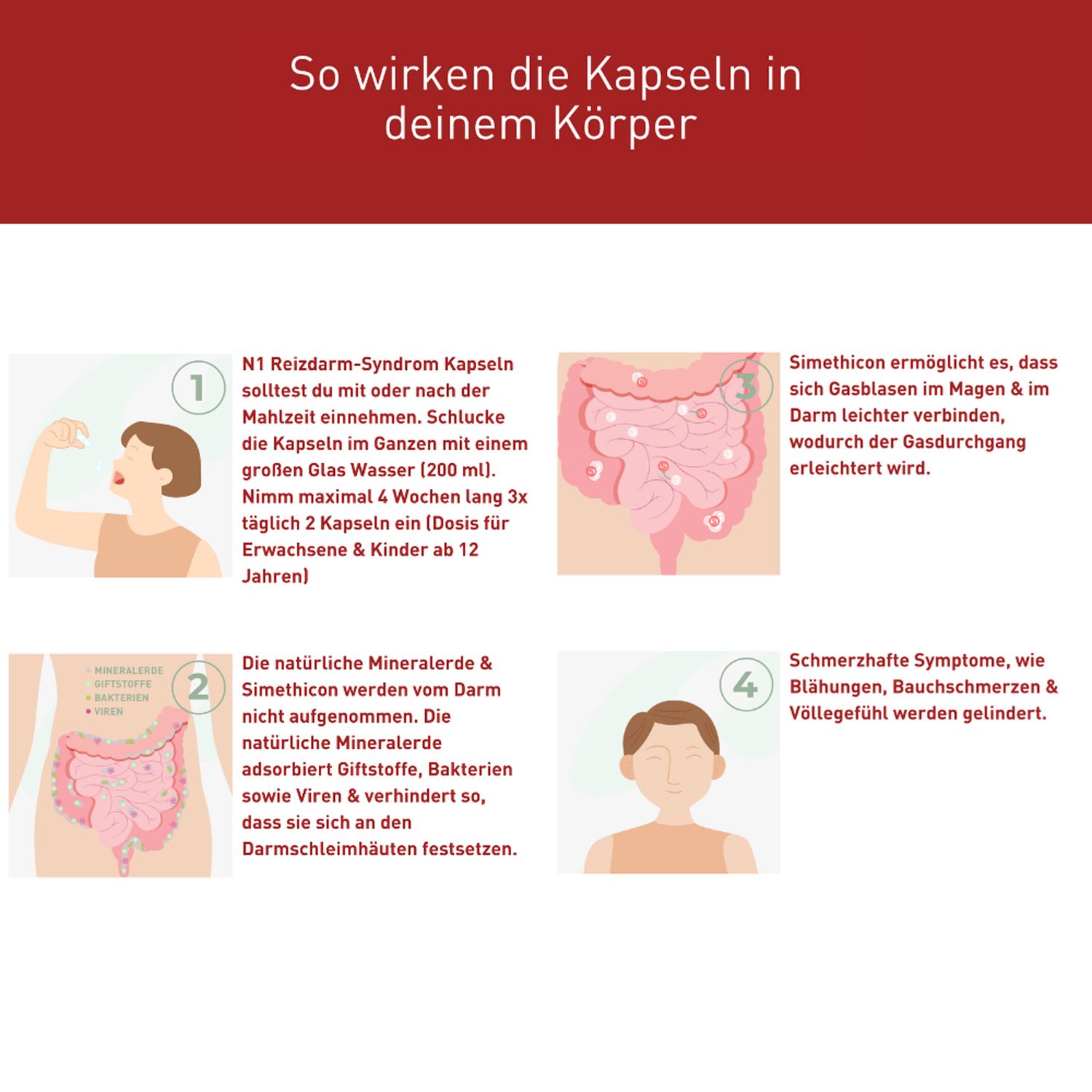 N1 Reizdarm Kapseln – lindert Symptome wie Blähungen, Schmerzen & Völlegefühl
