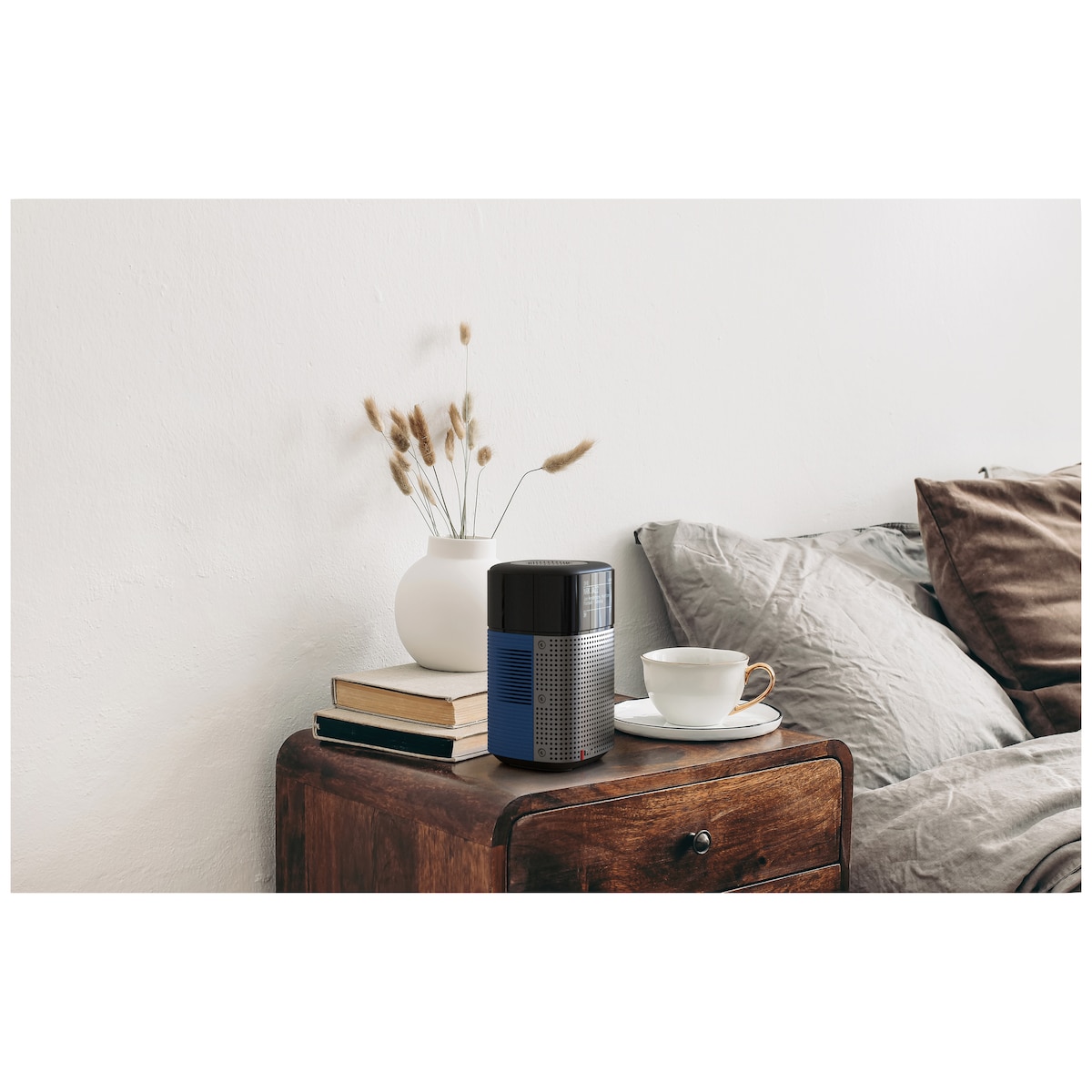 Pinell North bærbar digital radio (arctic blue)