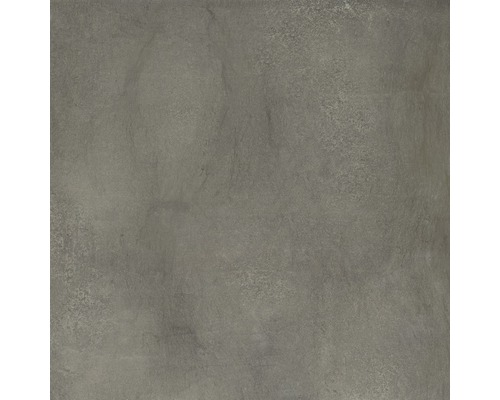 FLAIRSTONE porseleinen terrastegel Garden Goldengrey gerectificeerde rand 60 x 60 x 2 cm