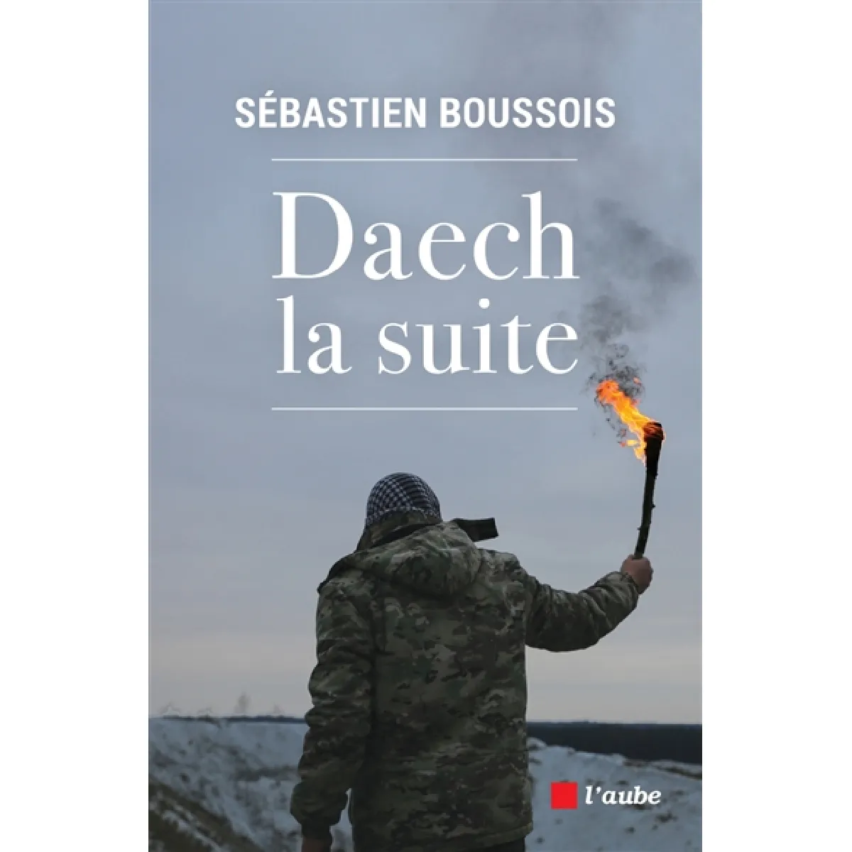 Daech, la suite · Occasion