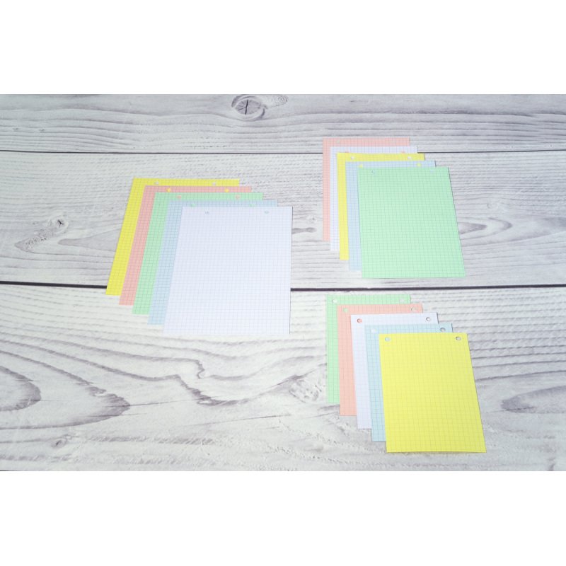 Fiche bristol 148 x 210 mm quadrillée 5 x 5 blanche perforée Exacompta - Boîte de 100