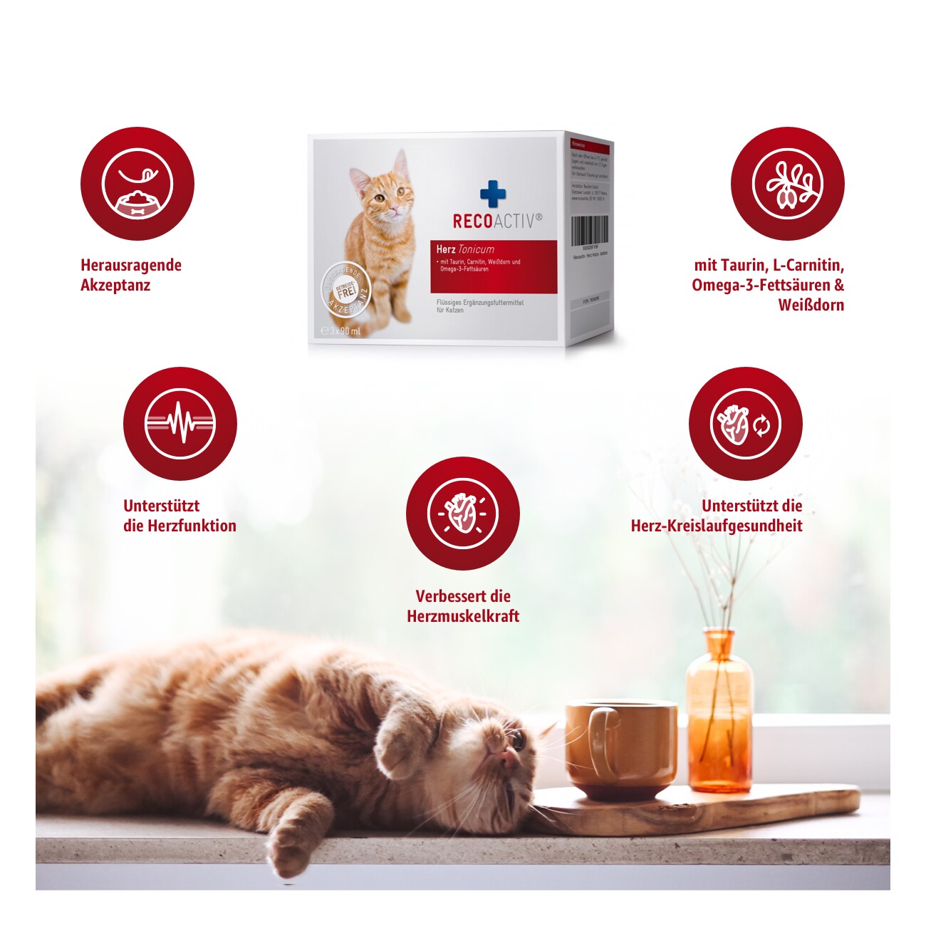 RECOACTIV ® Herz Tonicum 3x90ml