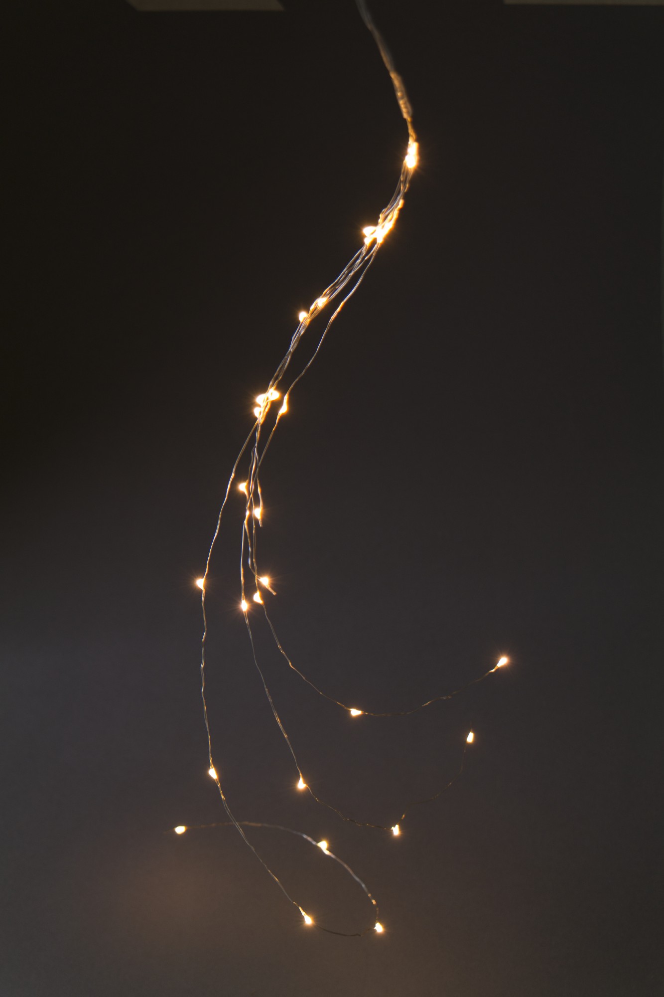 Lichter-Traube 'Bertogne', 30 LED, 5 Strippen, 70 cm von fischer's lagerhaus