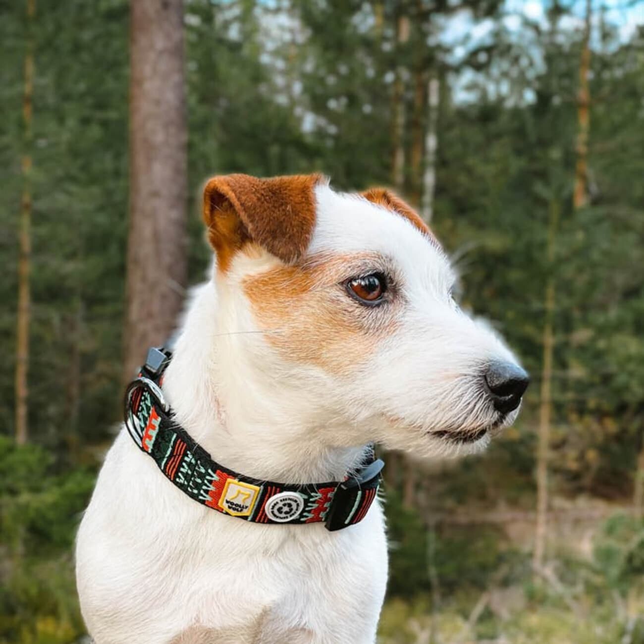 Woolly Wolf Halsband Woodland XS