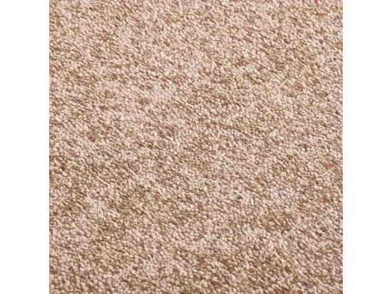 Paillasson Beige 40x60 cm