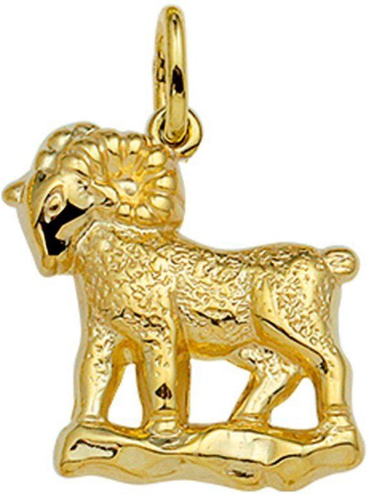 Hanger Sterrenbeeld - 14K Geelgoud