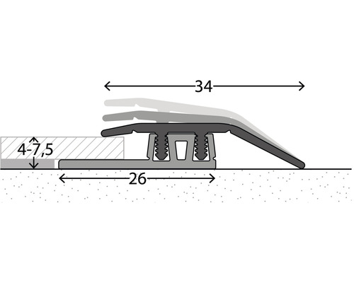SKANDOR Verstelprofiel Aluminium RVS Look Geanodiseerd 6x34x1000 mm