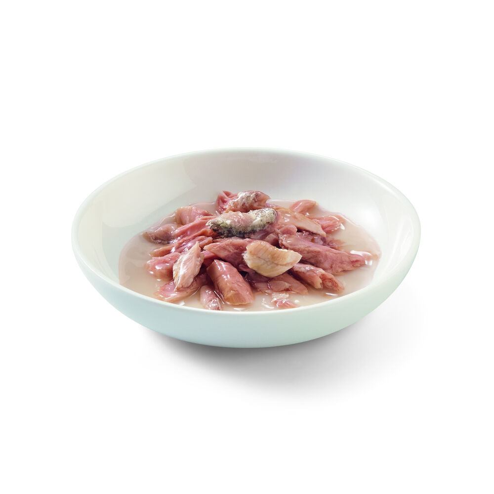 Schesir - Kattenvoer in bouillon - 70 Gram - tonijn en vis