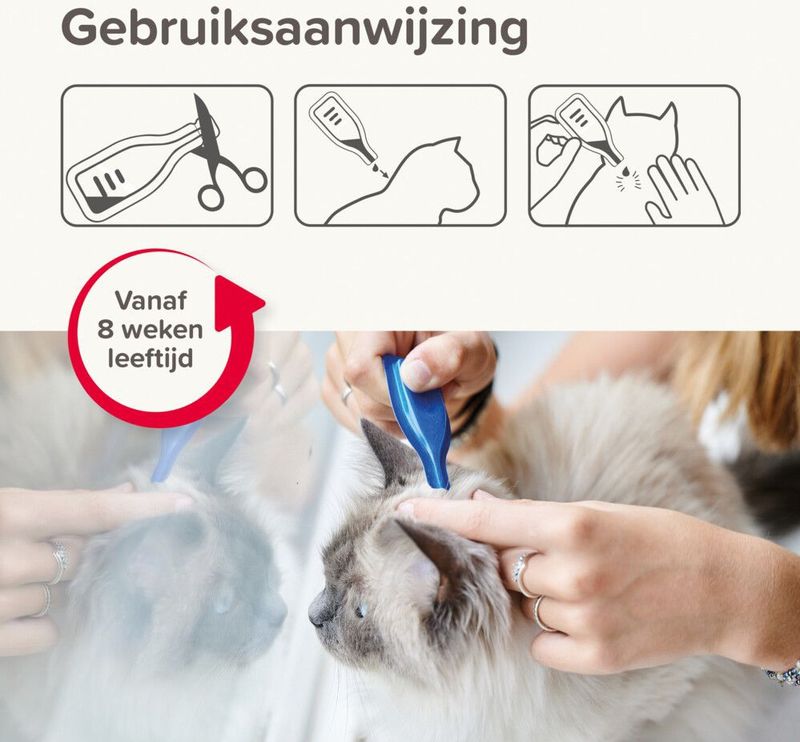 Beaphar Combotec Anti Vlooien en Teken Druppels Kat/Fret 2 pipetten