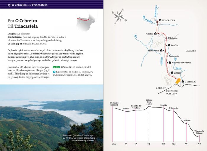 Pilgrimsvandring til Santiao de Comp.
