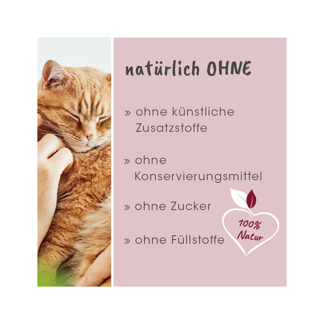 cdVet feliTATZ FellGlanz