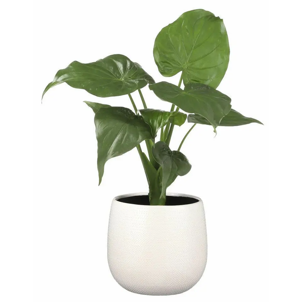 Mica Decorations Bloempot - wit met relief - keramiek - 14 x 12 cm