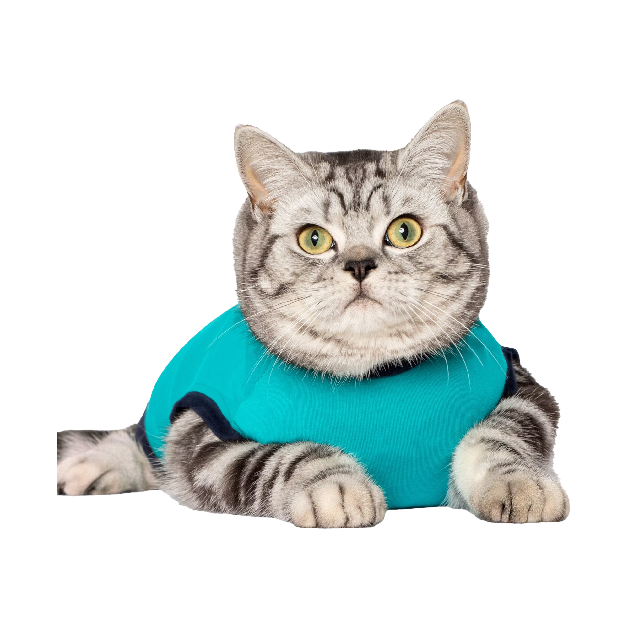 Jacketz Medical Body Suit Kat