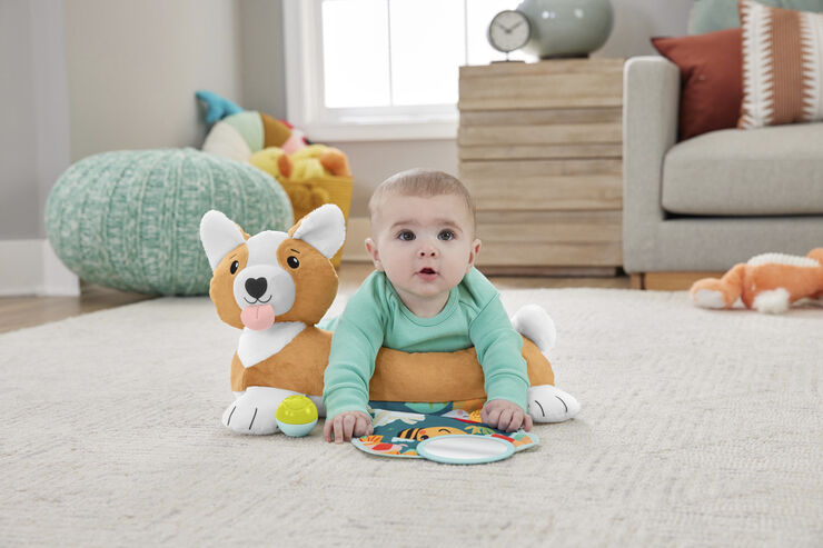 Fisher Price FP 3-1 Puppy tummy wedge