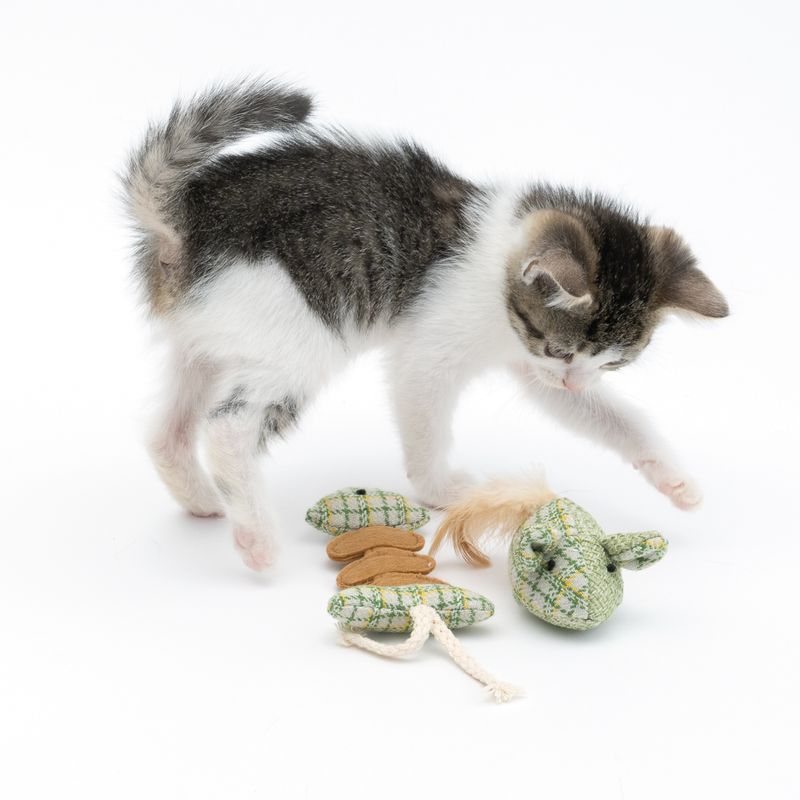 Lot de jouets Modern Living Glasgow Souris & Arête de poisson