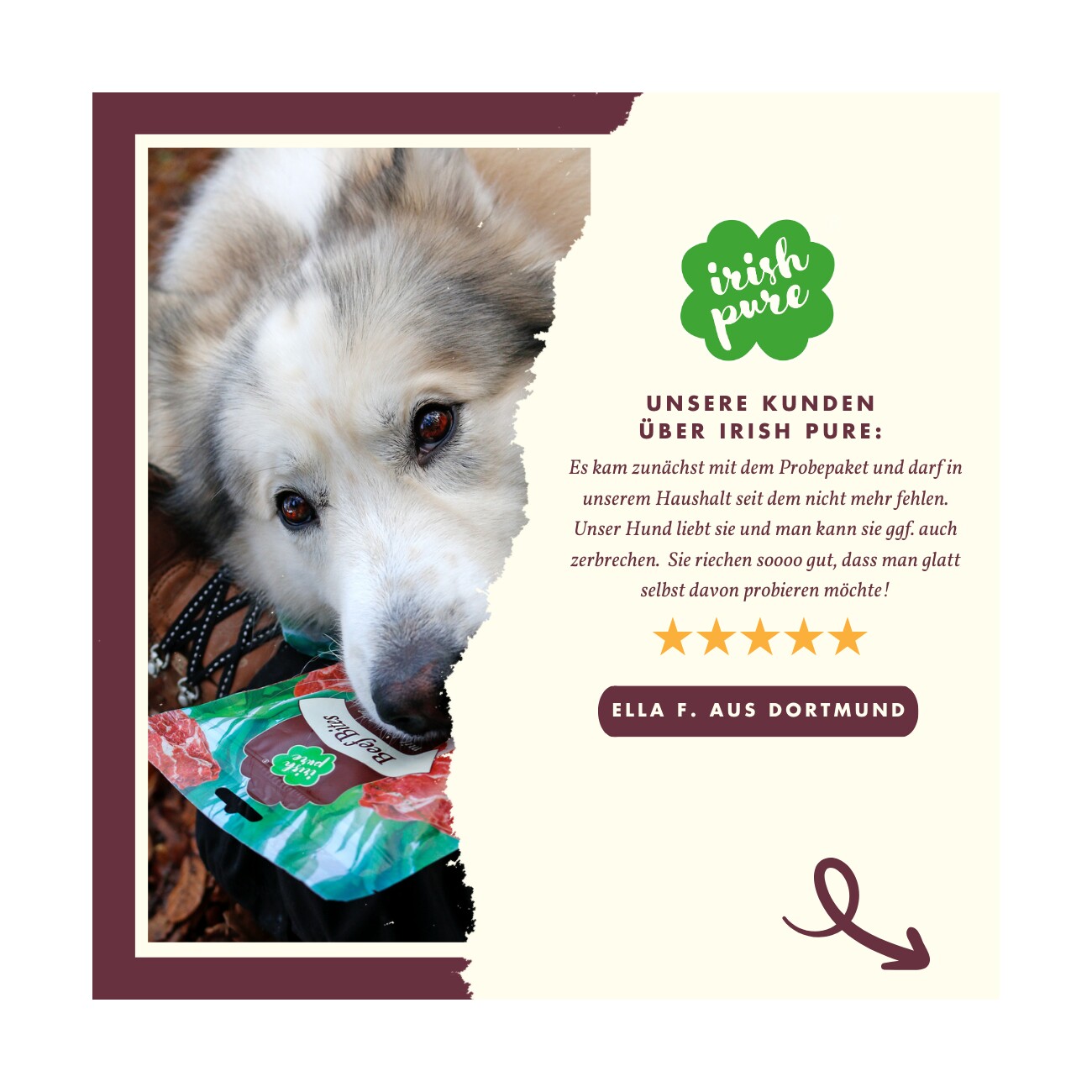 Irish Pure Beef Bites mit Kelp-Alge