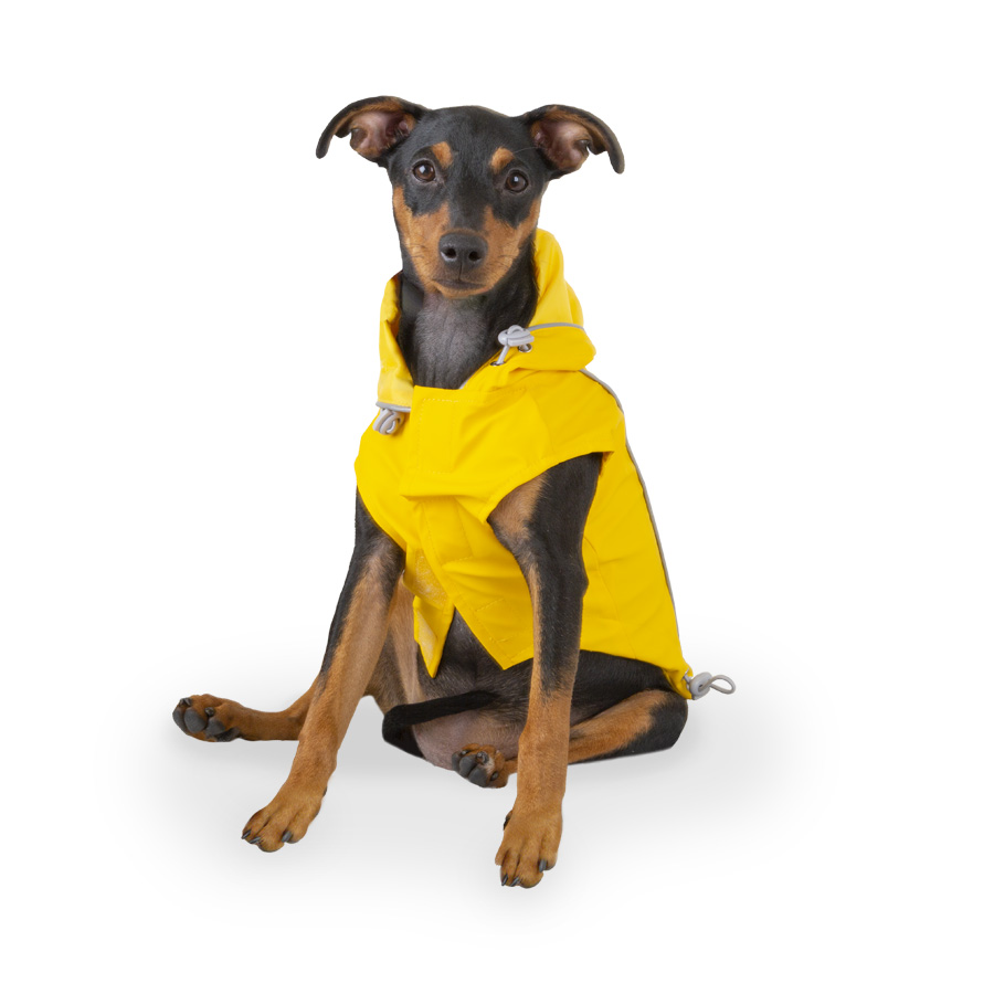 Roupa impermeável amarela para cães Outech Fisher