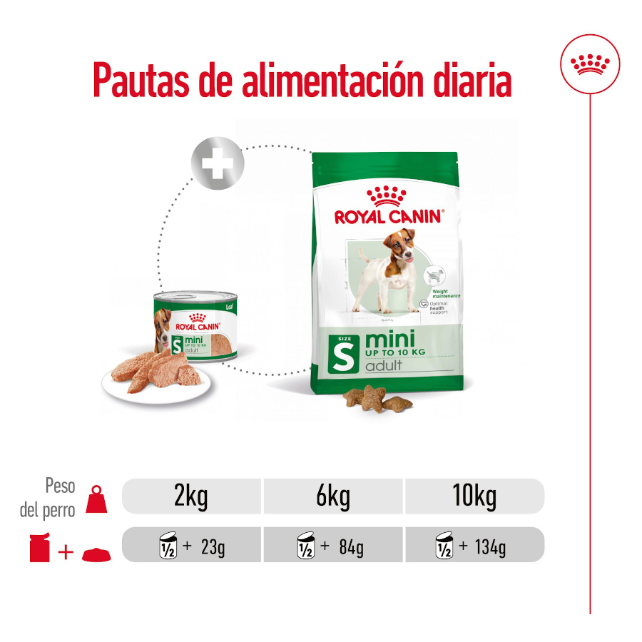Patê Royal Canin Mini Adult em lata para cães