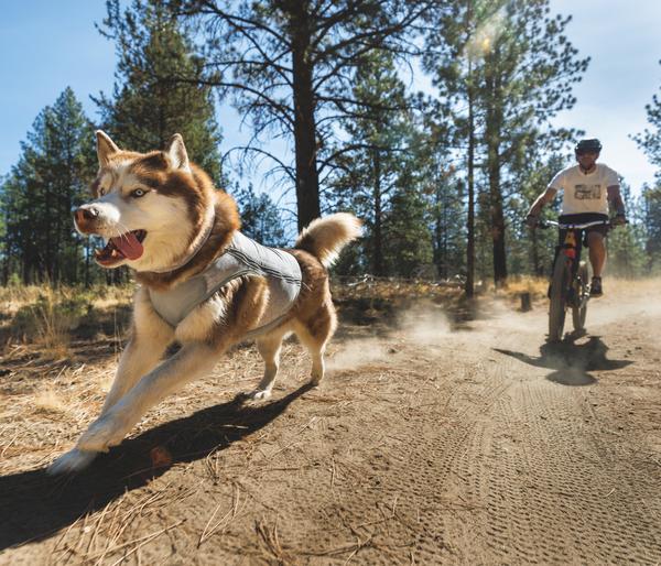 RUFFWEAR® kühlende Hundeweste Swamp