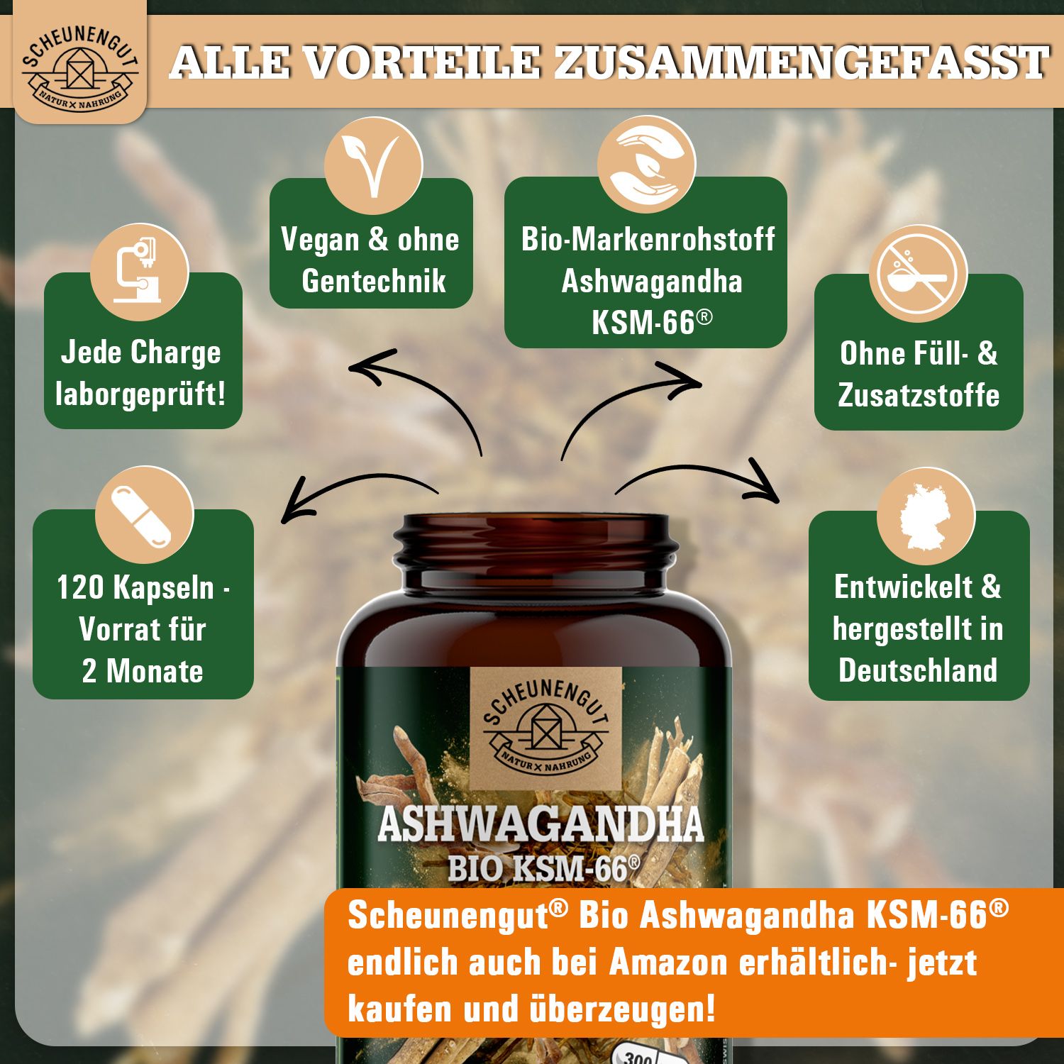 Scheunengut® BIO Ashwagandha KSM-66 | Markenrohstoff mit mindestens 5% Withanolide