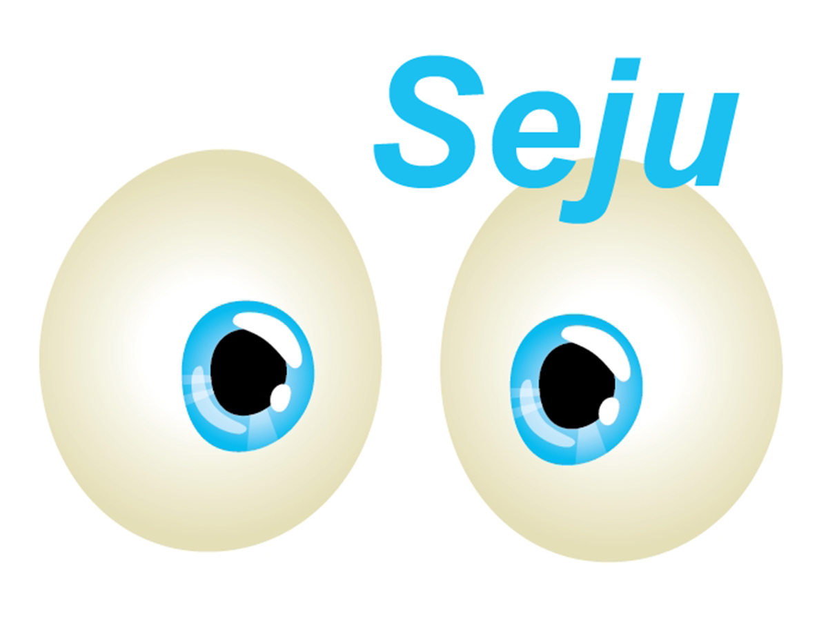 Seju Baby binnenspiegel met zuignap