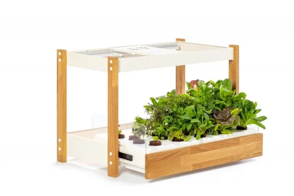 Click and Grow 25 - White (Salad Greens 54x pack)