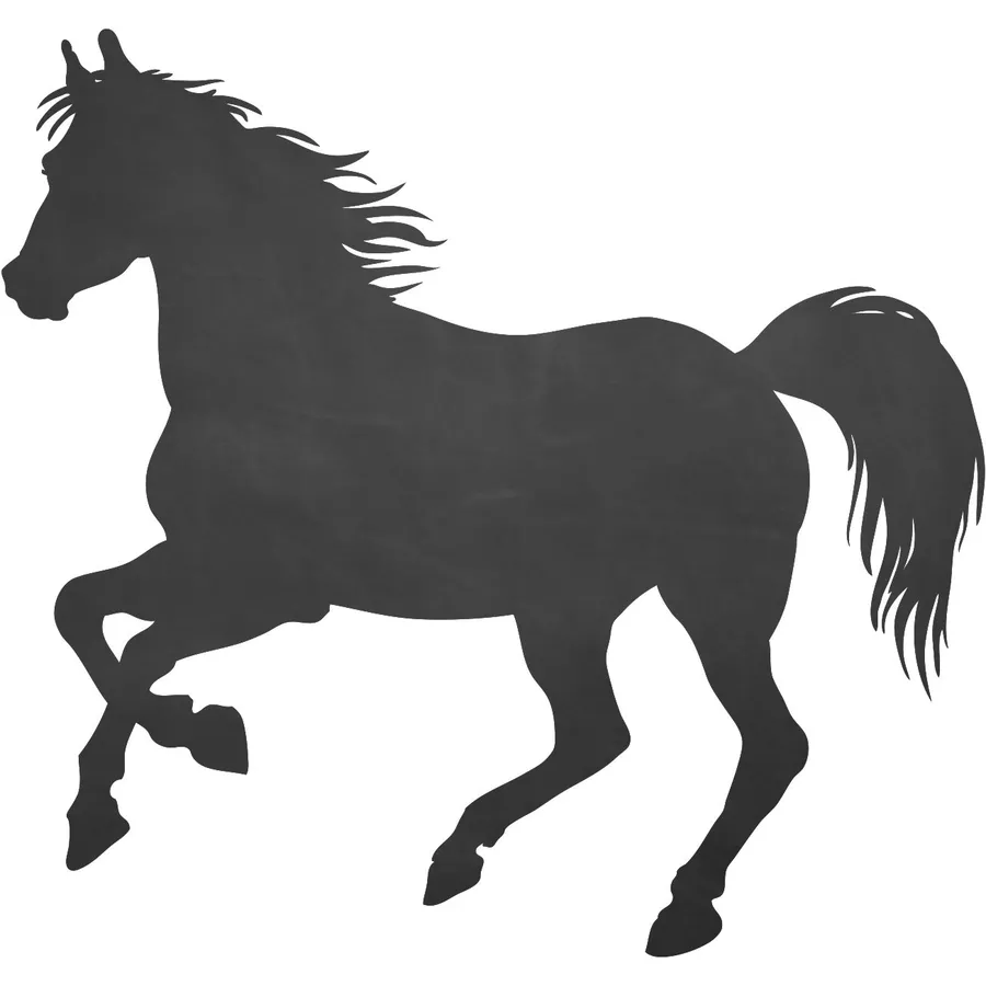 Nikima Wandtattoo 007 Pferd 2 - selbstklebende Tafelfolie Kreidefolie inkl. 3 Stück Kreide schwarz