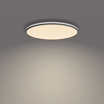 Philips plafonnière Ozziet zwart 1x36W