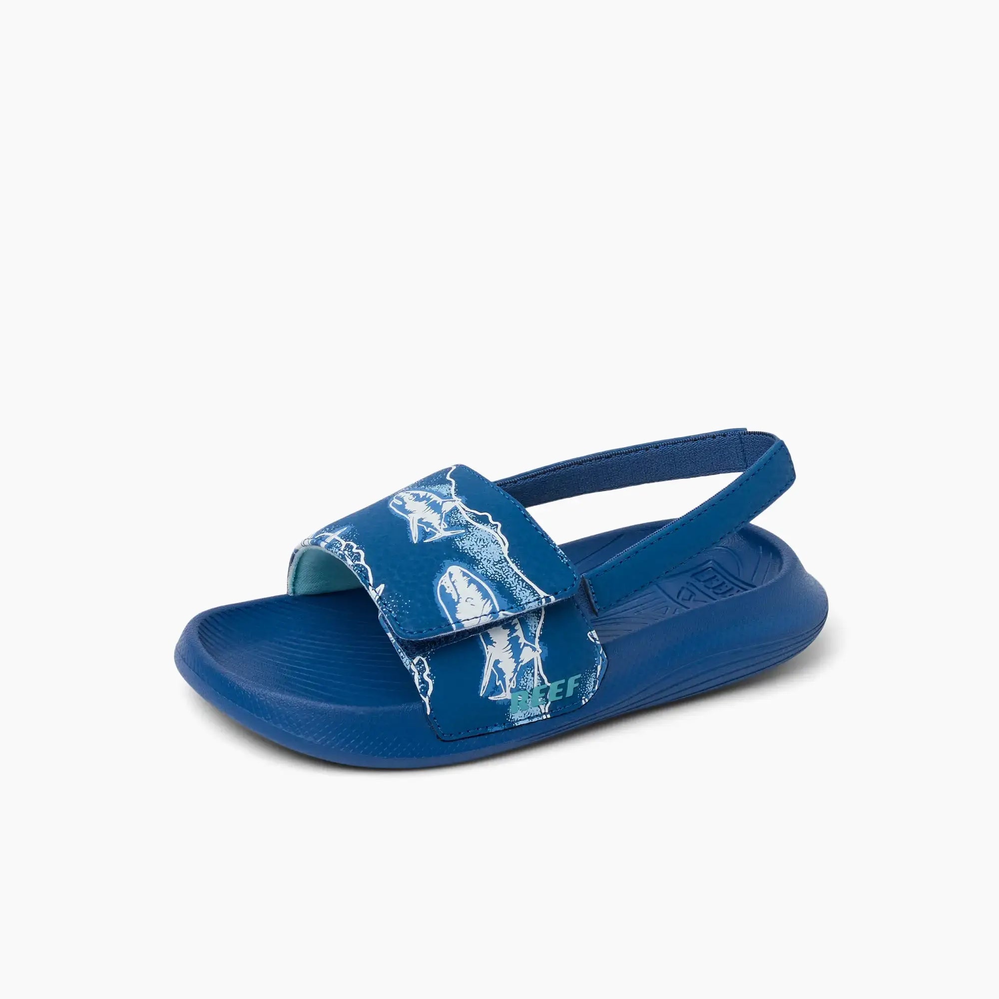 Little Salty Slide Royal Sharks