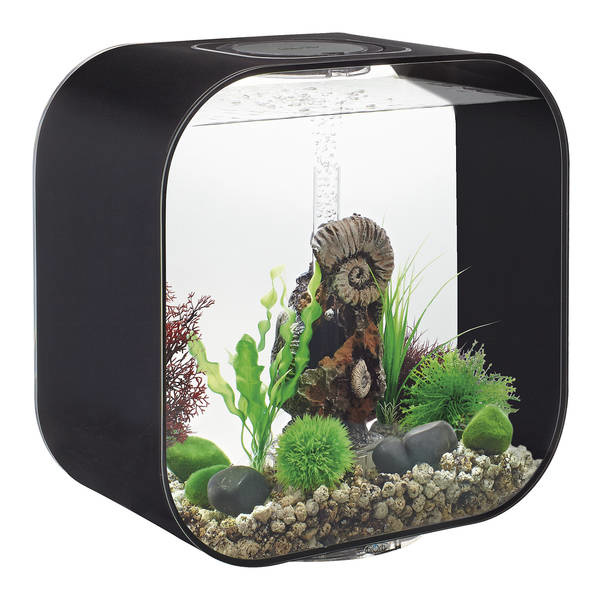 biOrb Life 30 MCR Zwart | Aquarium