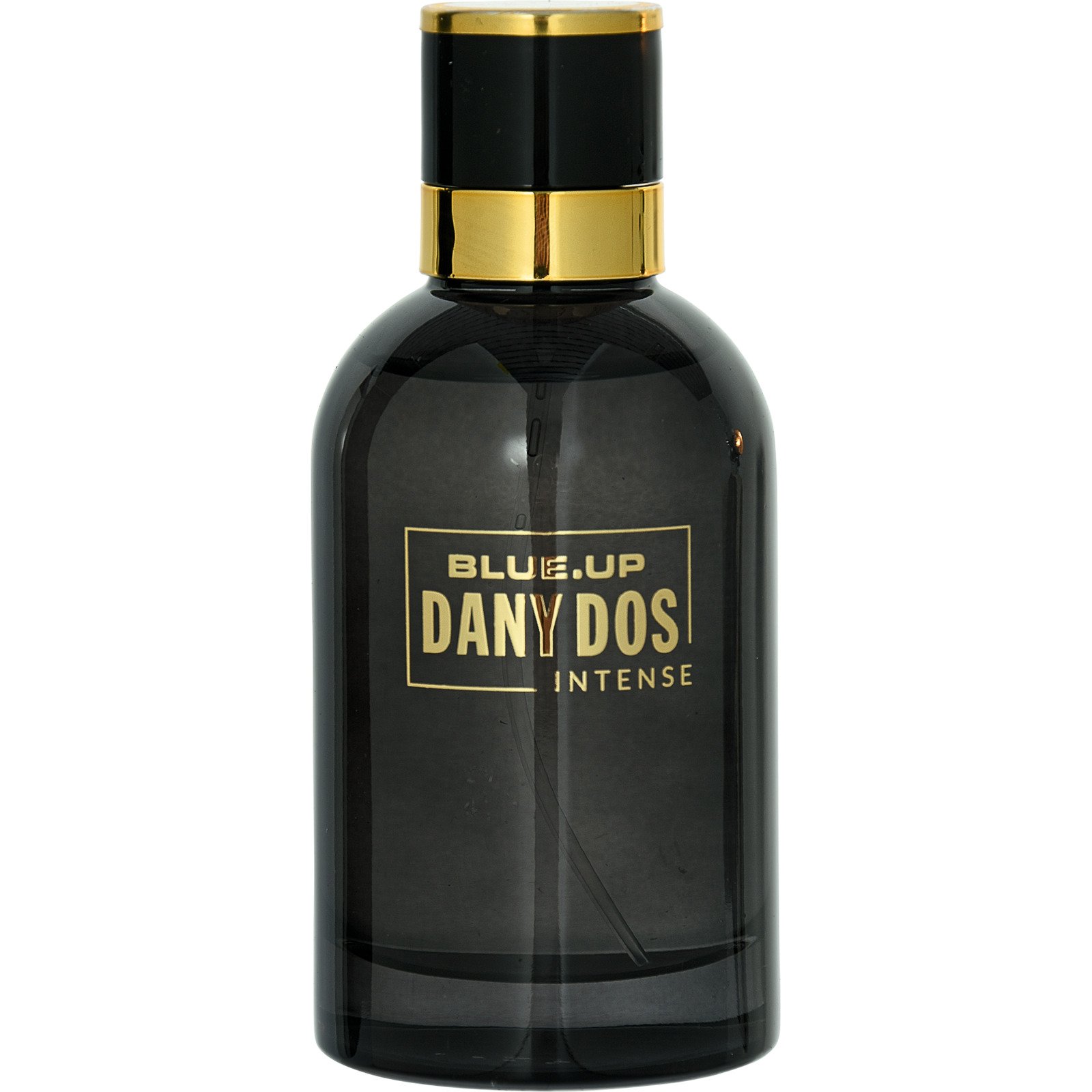 Blue Up Dany Dos Men Intense Eau de Toilette 100 ml