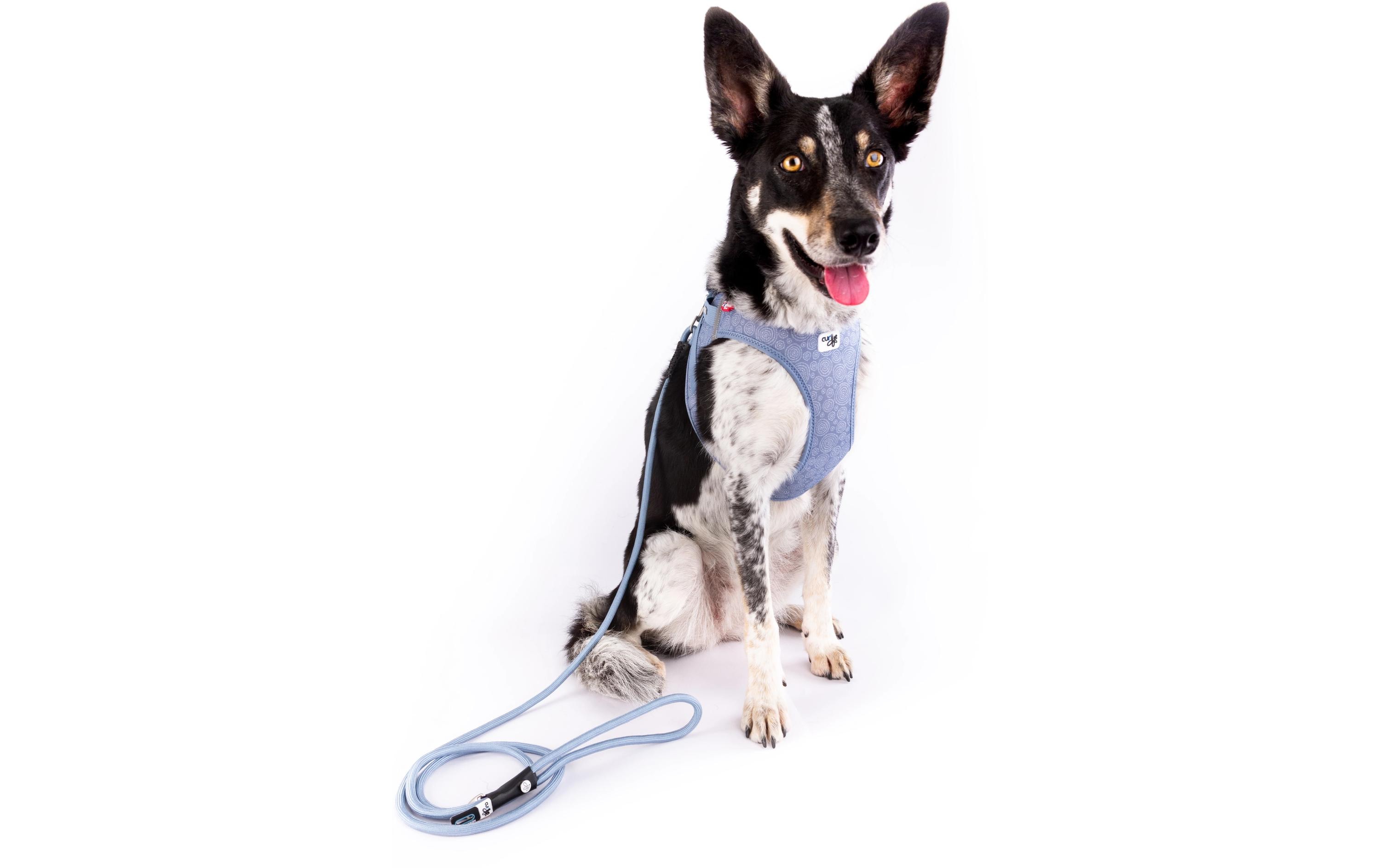 Geschirr Vest Air-Mesh 2XS SE24, Elemental-BlueDas verstellbare Brustgeschirr mit Schnalle
