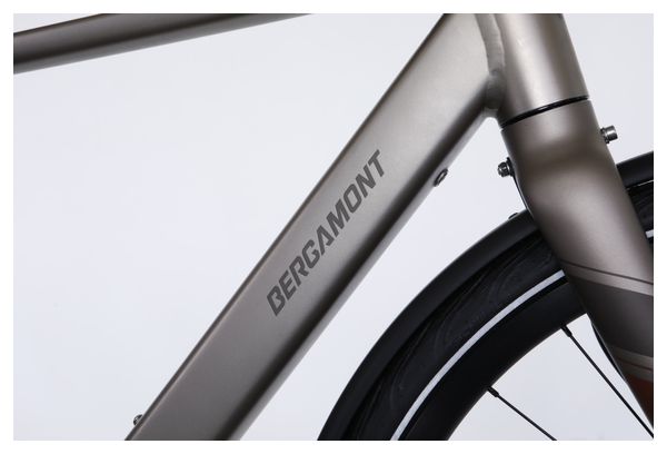 Vélo Ville Electrique Bergamont E-Sweep Tour Shimano Cues 10V Mahle 250Wh Gris 2023 - Vélo d'Exposition