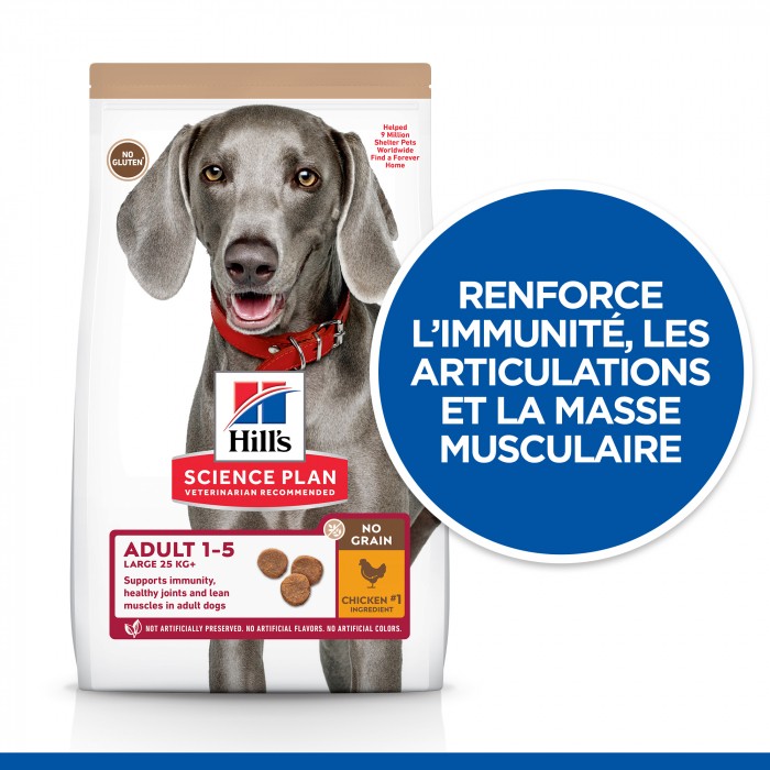 HILL'S Science Plan No Grain Large Adult au Poulet - Croquettes pour chien