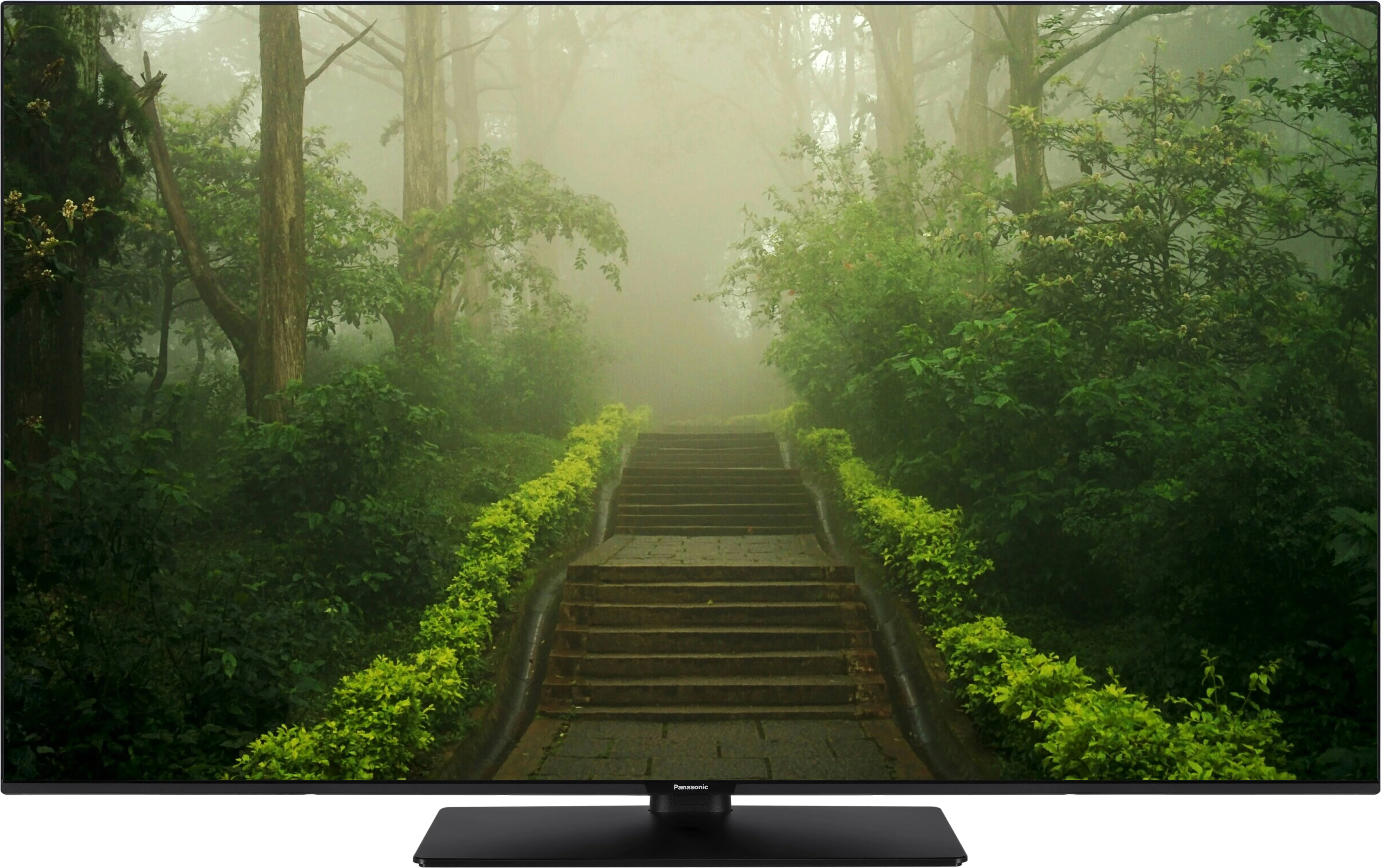 Panasonic TB-65W60AEZ TV UHD 4K