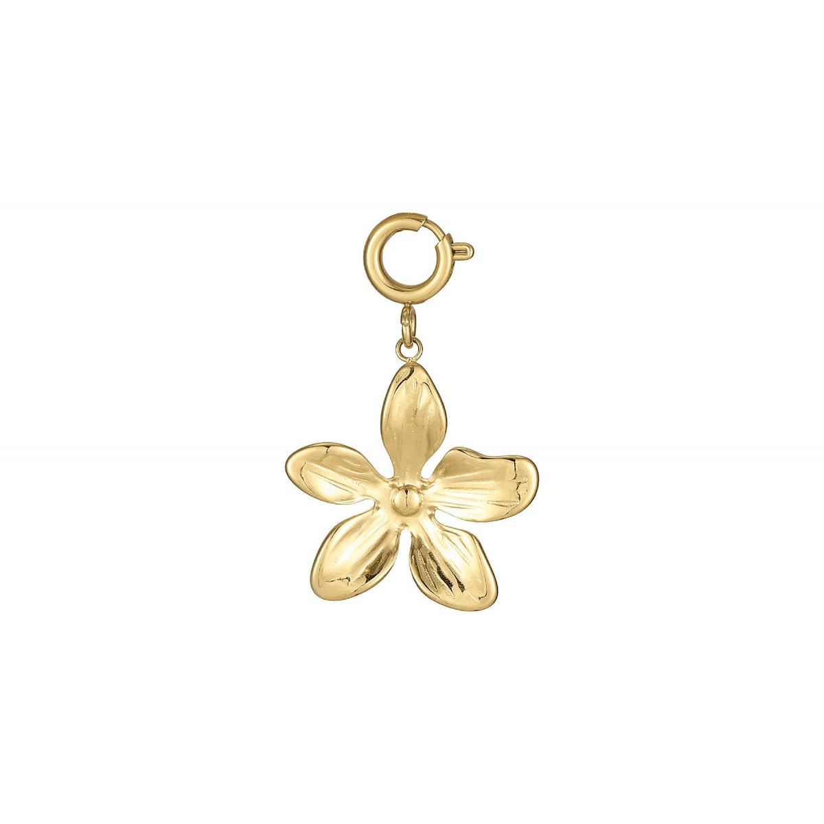 Charm Floria acier doré or