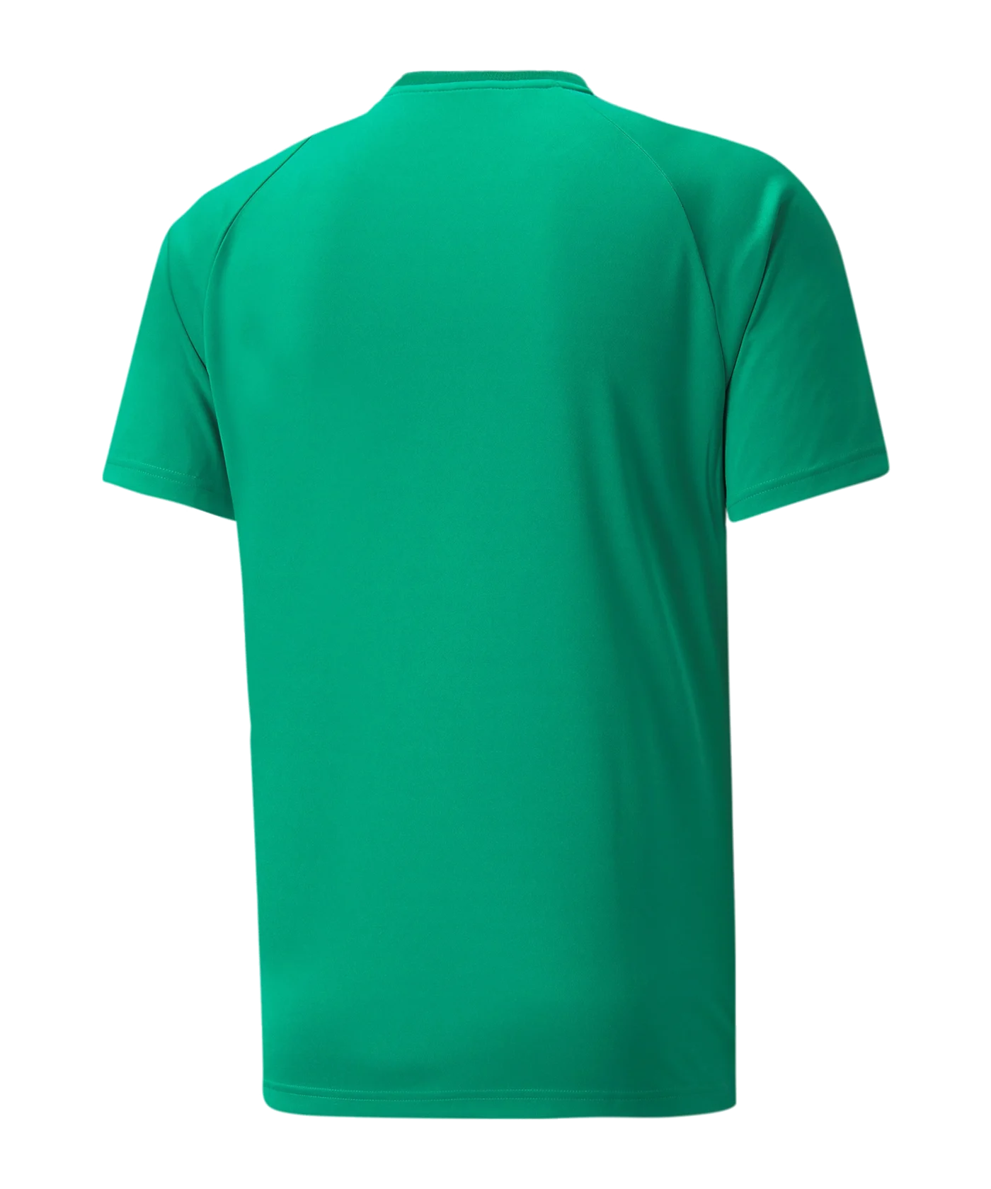 PUMA teamVISION Trikot Grün F05