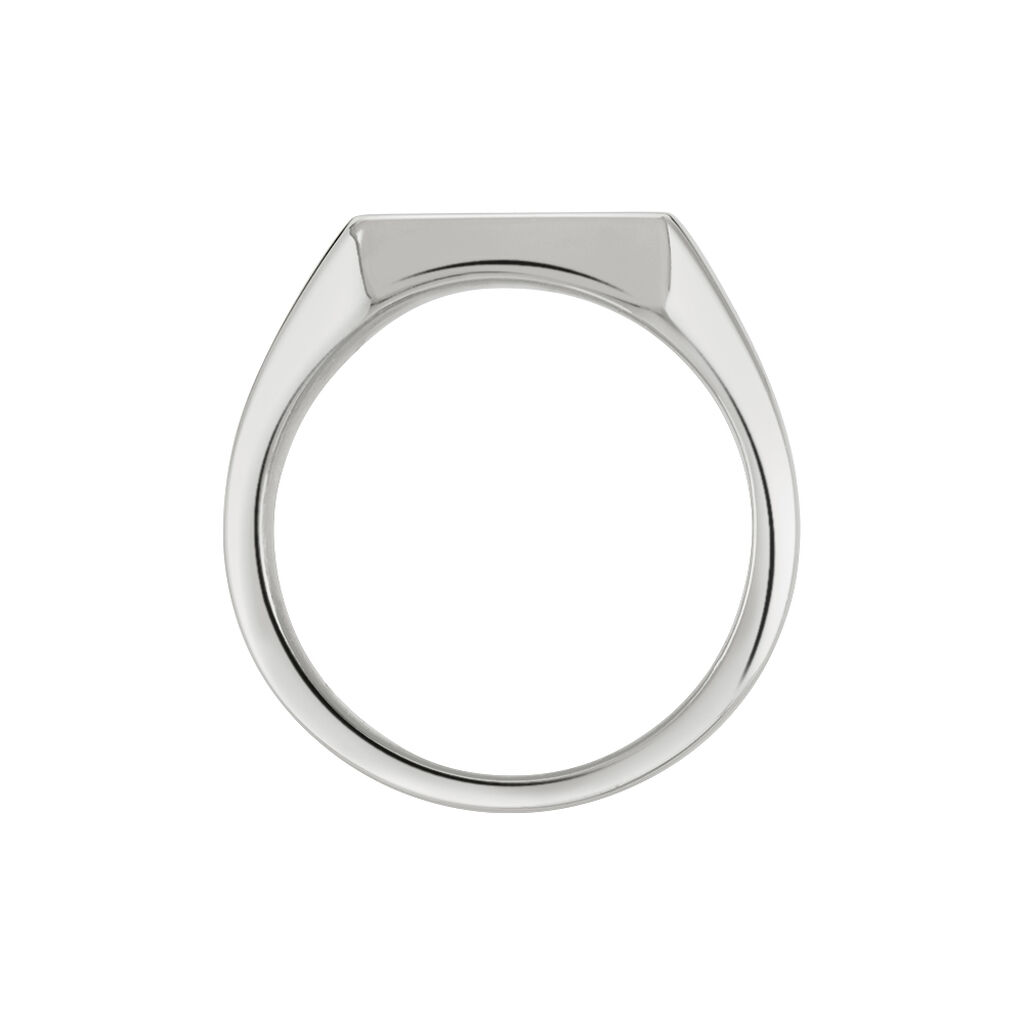 Chevaliere Acier Blanc Winebald