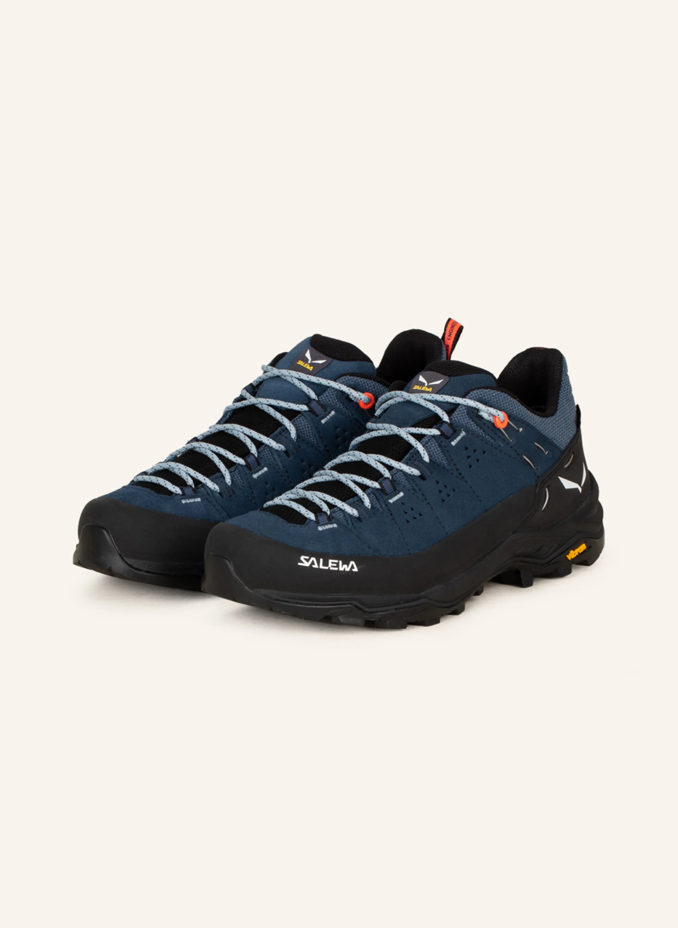 SALEWA Wanderschuhe ALP TRAINER 2 GTX