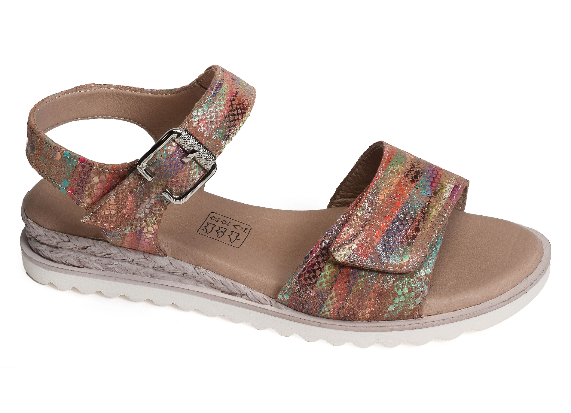 Xiada multicolore