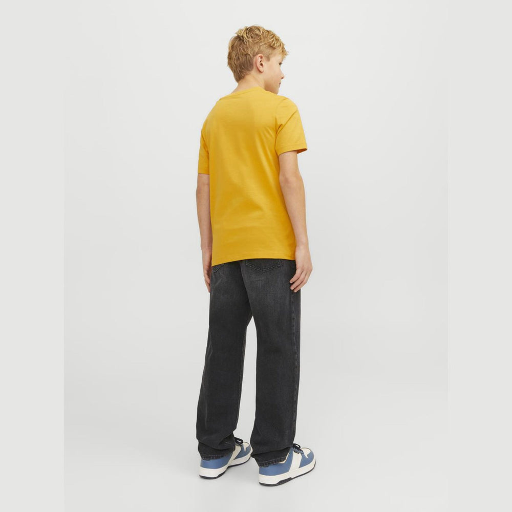 Køb Jack & Jones Junior Black Denim Chris Original Jeans 602 Noos